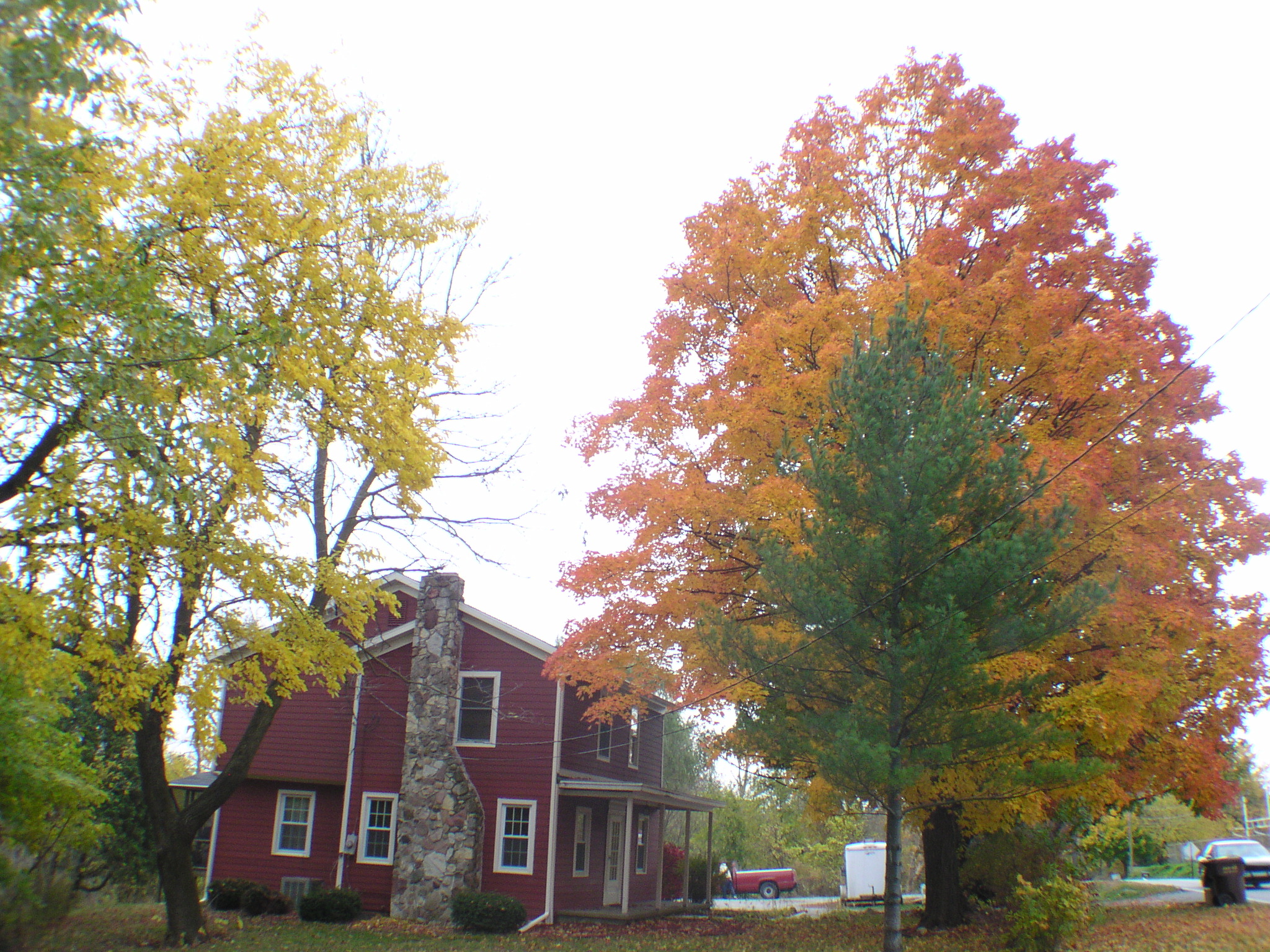 PA220016.JPG