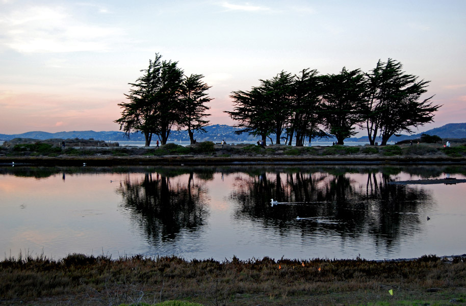 Trees reflected<br />1028