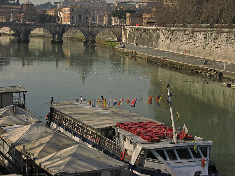 Boats tied up for the winter6904