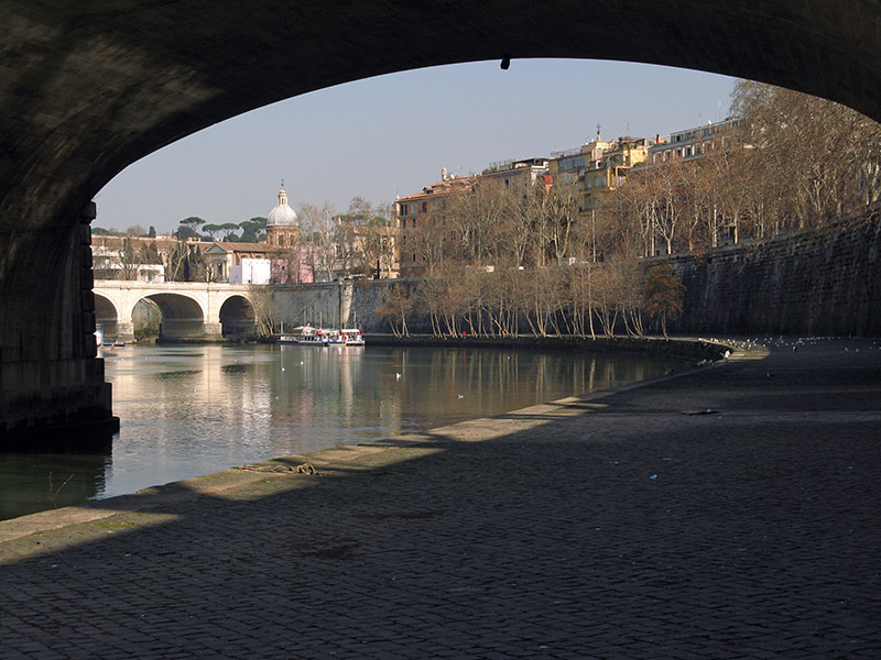 Under the Ponte Umberto I6910