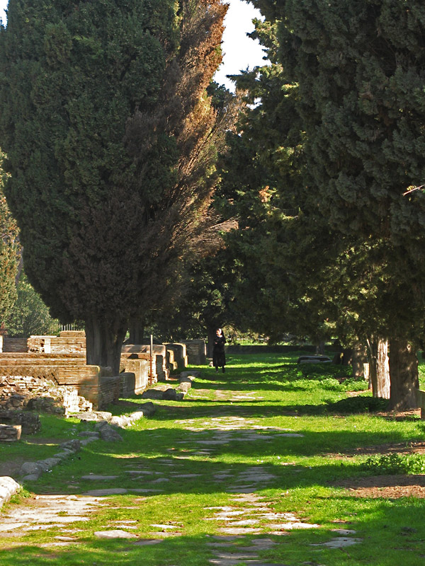 A street among the tombs6989