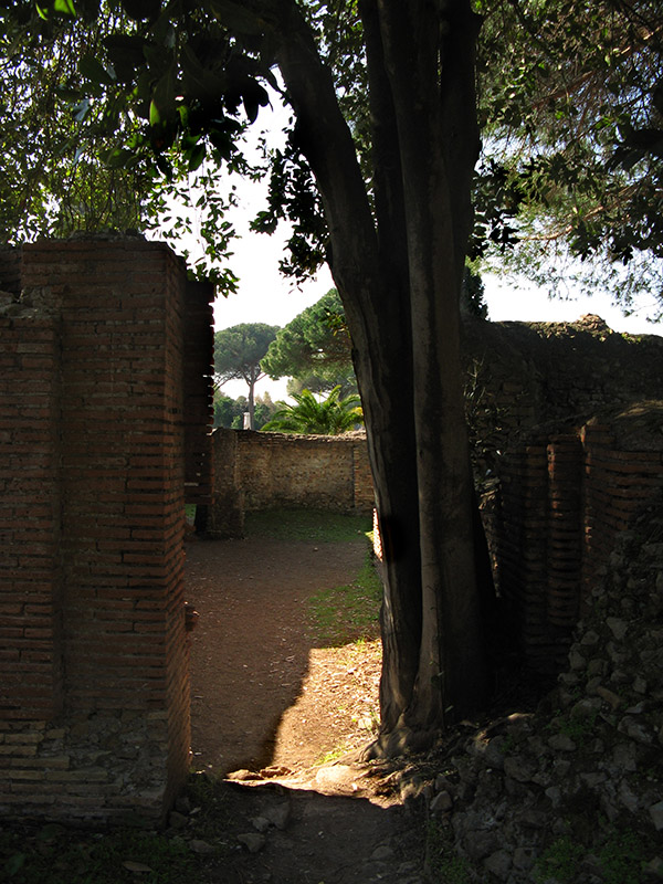 Trees shade the necropolis6992