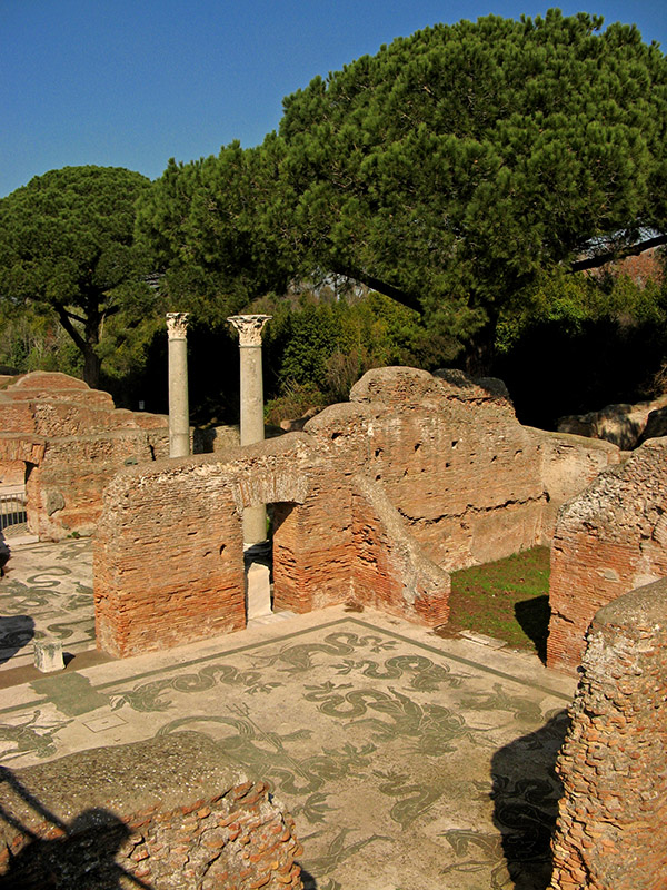 Mosaic floor, Baths of Neptune6998