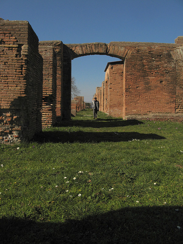 Cardo Massimo I7017