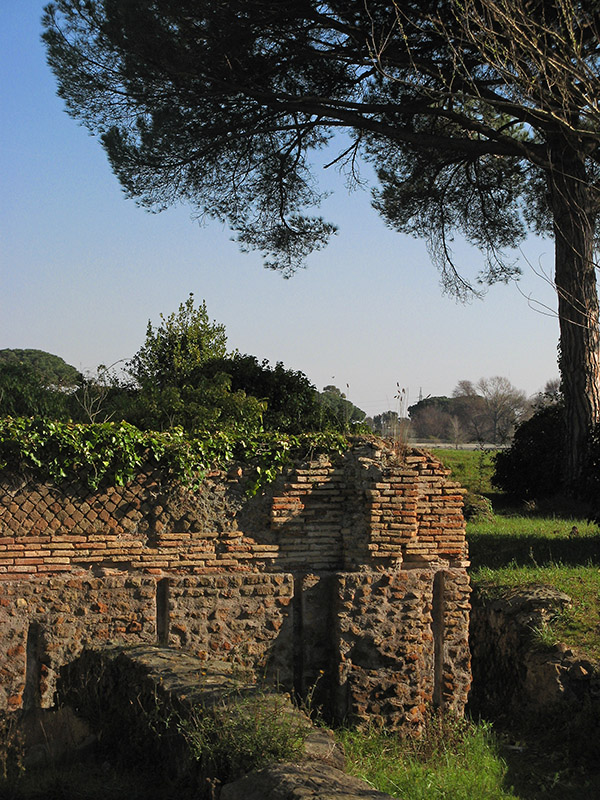 Bricks and vines7028