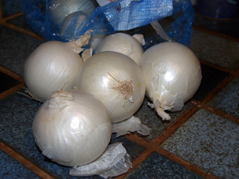 Onions <br />2479
