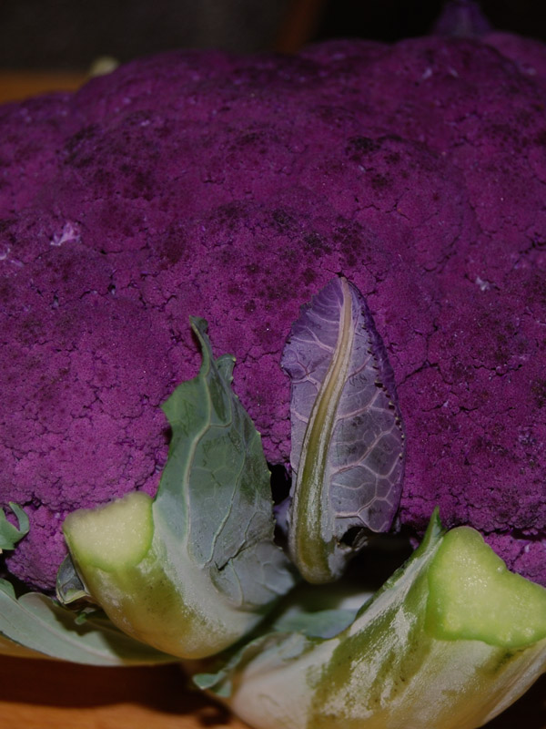 Purple cauliflower<br />2507