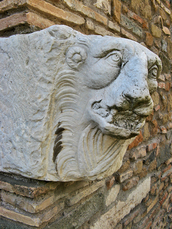 A Grinning Lion, Capo di Bove0914