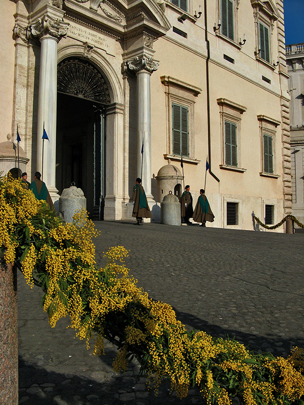 Mimosas at the Quirinale1502