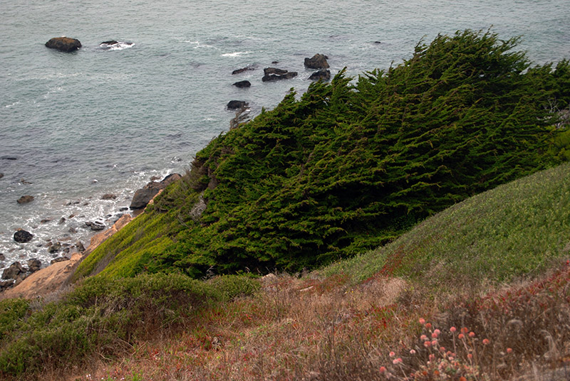 Wind Sculpted Landscape2777