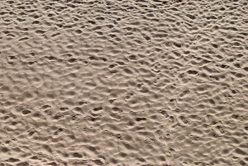 Footsteps in the Sand2804