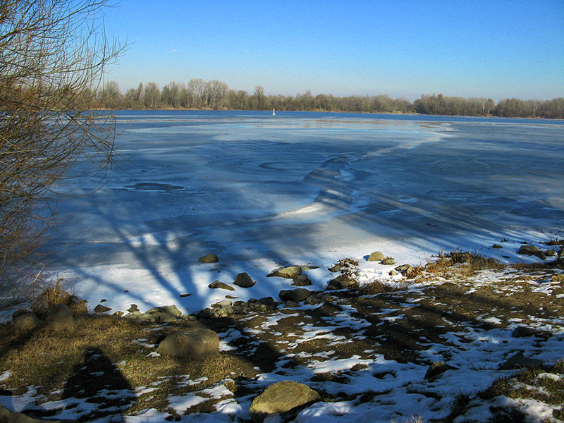 Shadows on the ice2818