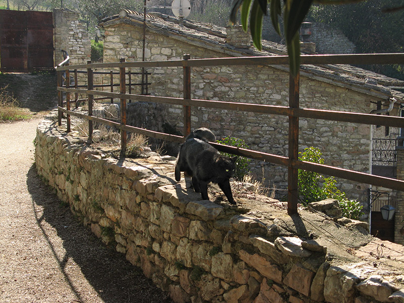 Our guide at the Anfiteatro Romano6517