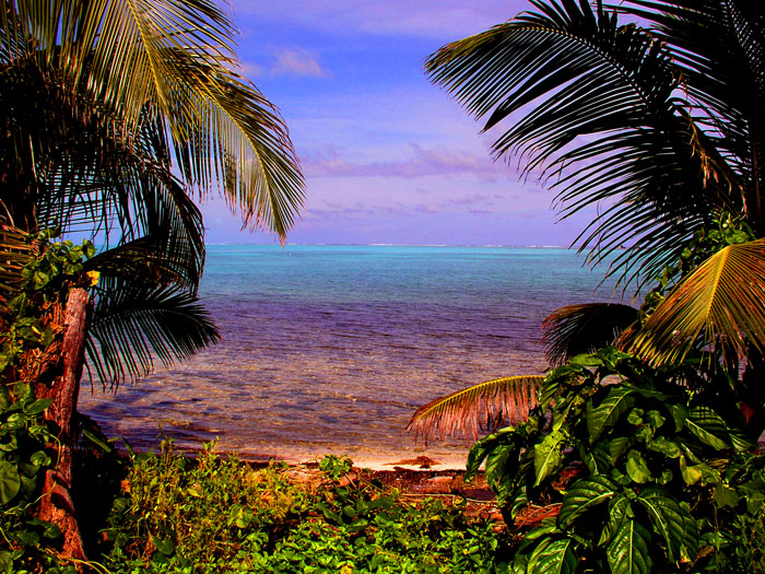 Island of Half Moon Caye
