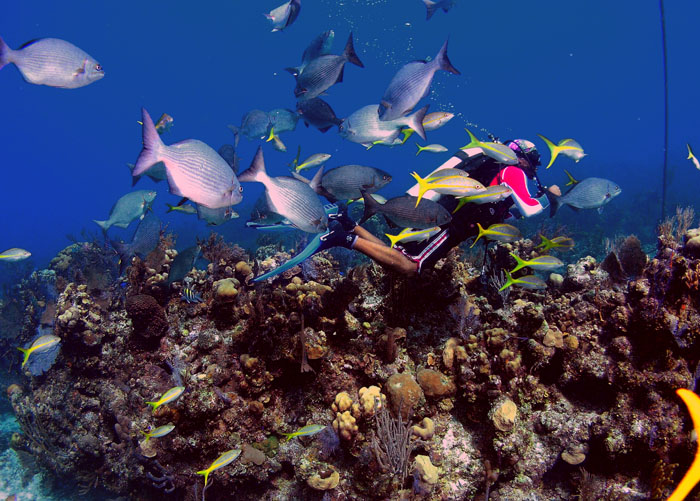 Aquarium