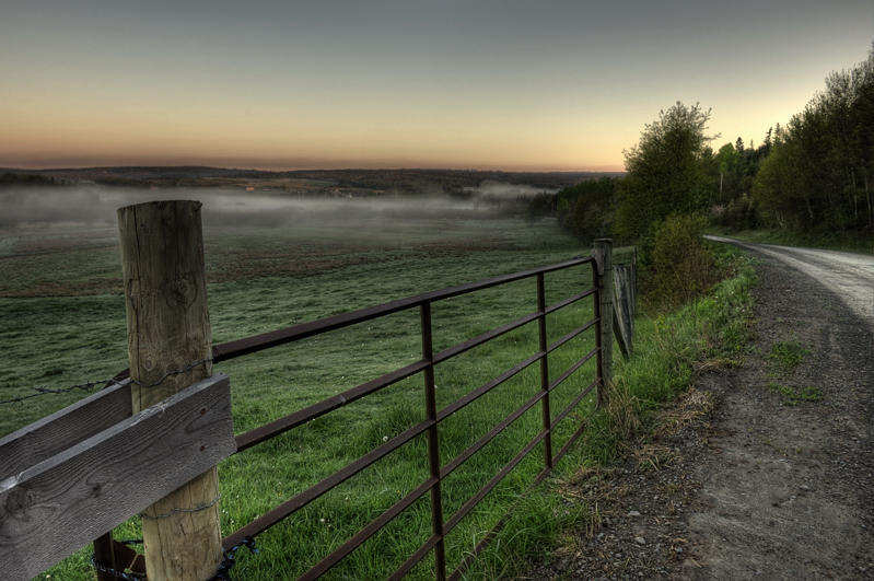 Morning Mist