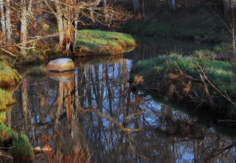 Spring reflection
