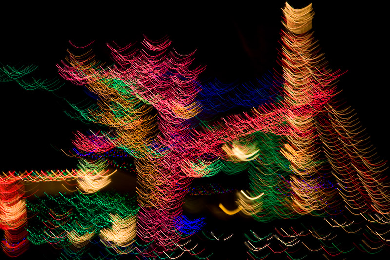 AMC_081211_5D0506.jpg