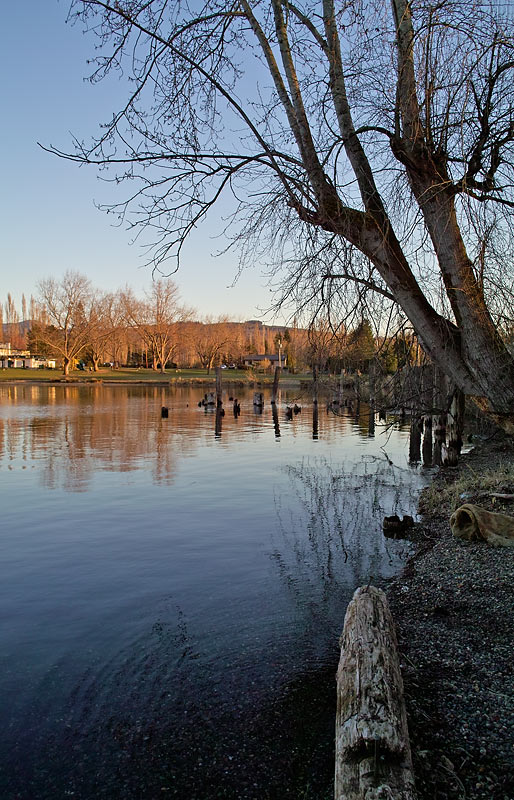 On the shore of Lake Whatcom