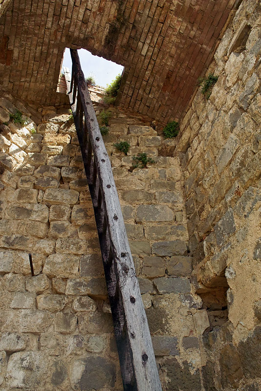 AMC_DP1_080524_3580.jpg