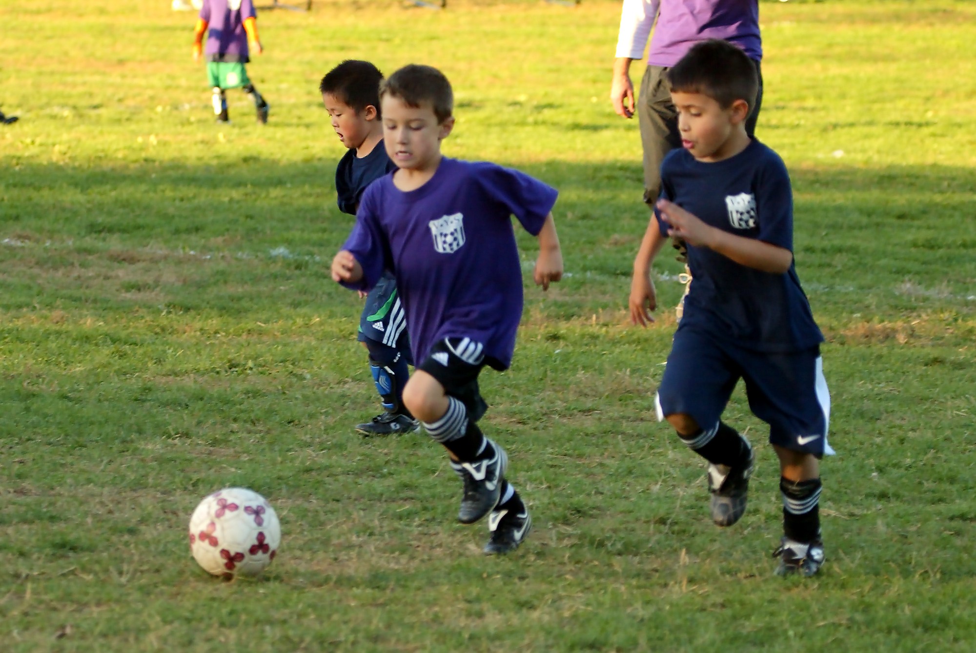 eos-1d_eos-1d_0d6d0030c_std.jpg