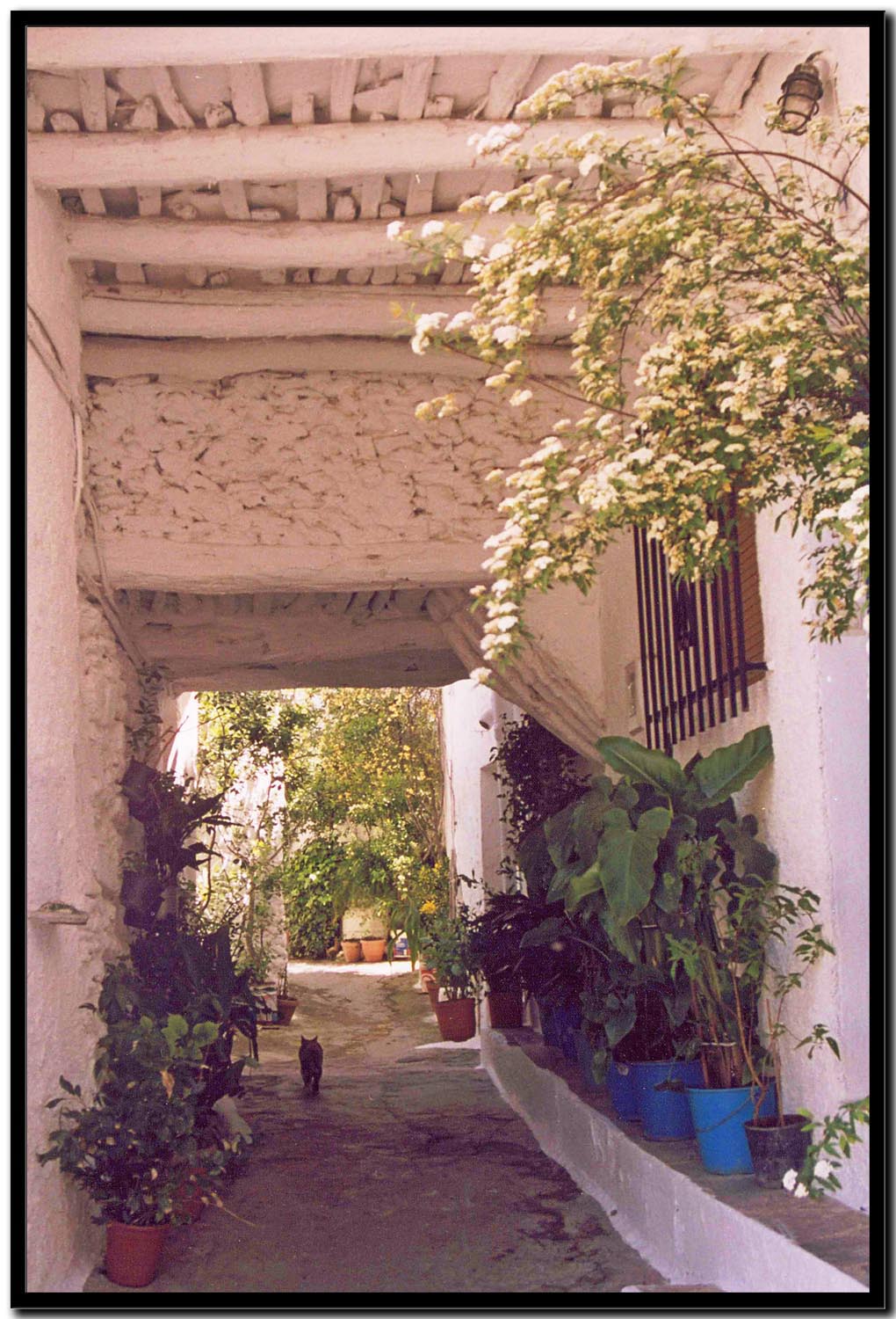 Pampaneira