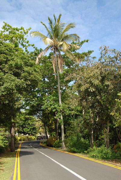 Road in southeast Mauritius