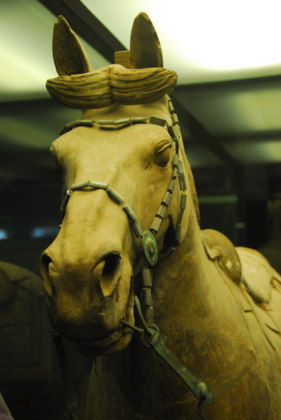 Terracotta Horse, one of 670 horses discovered among the 8000 figures