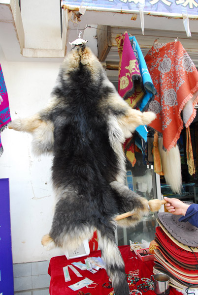 Hide of a wolf