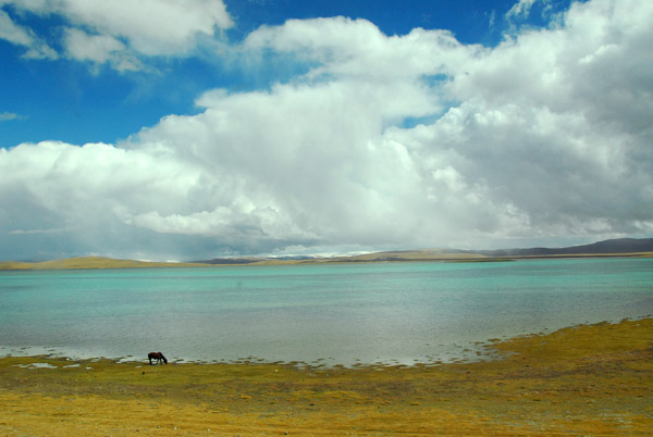 Cuonaho Lake, Tibet