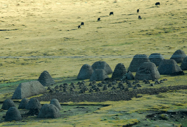 Odd earthen mounds, perhaps a cemetary?