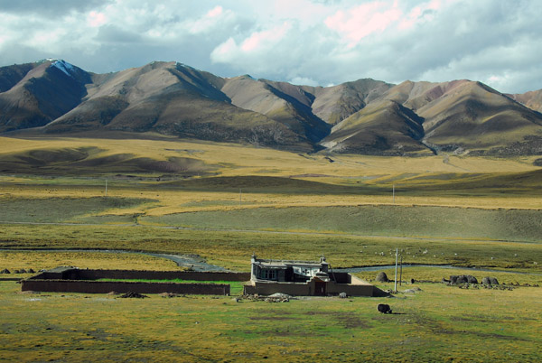 Tibetan house with a grazing yak