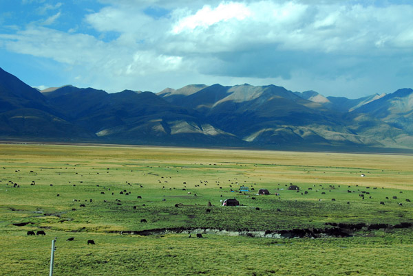 Vast grazing lands at the base of the Nyainqentanglha Range