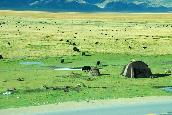 Tibetan nomad tent along the Qinghai-Tibet Railroad