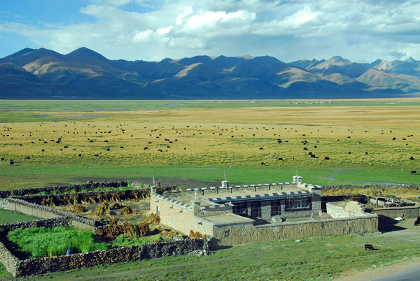 Tibetan house with the Nyainqentanglha  Range and its fertile grasslands