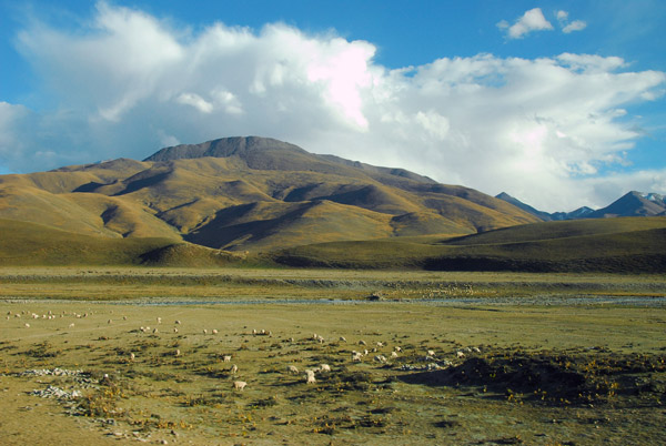 Pastureland at the base of the Nyainqentanghla Shan range