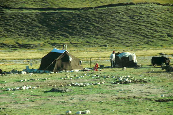 Tibetan nomad tent