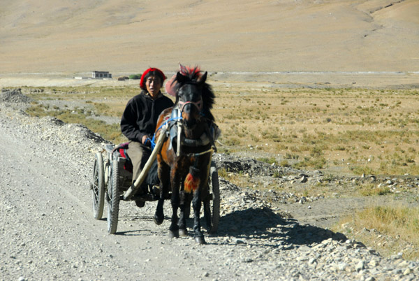 Tibetan man driving a horse cart
