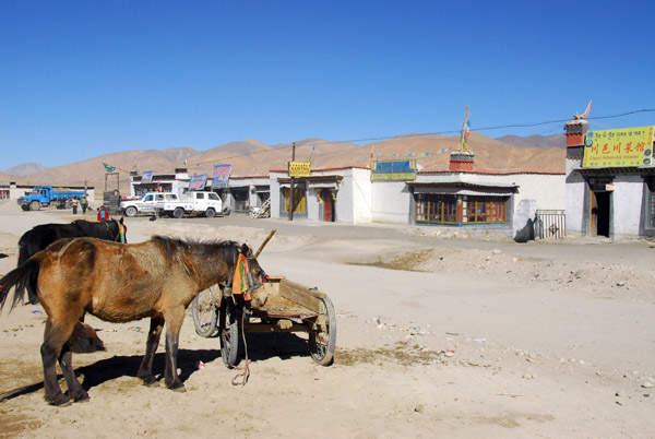 Horses parked along the road, Old Tingri