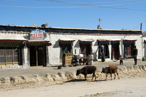 Tibetan shop, Old Tingri