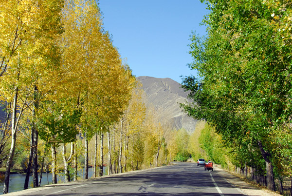 Leaves starting to change color, early October