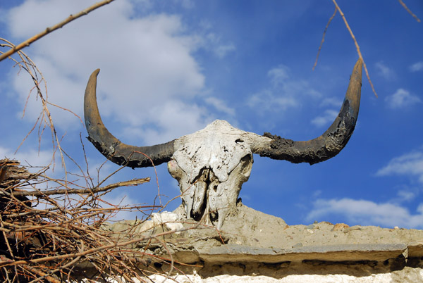 Yak skulls are used as decoration in Tibet