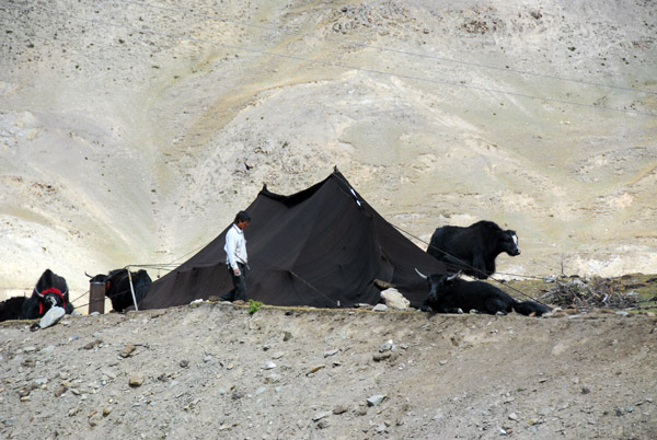Tent of nomadic Yak herders west of Karo-la Pass