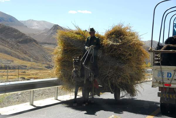 Horse-dran cart overloaded with hay along the Friendship Highway