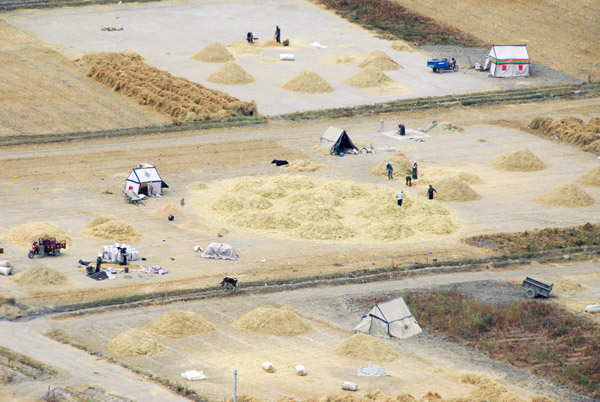 Harvest time in the fields west of Gyantse Dzong