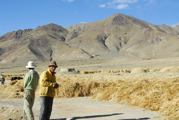Tibetan farmers in the fields to the north of Pelkor Chde Monastery