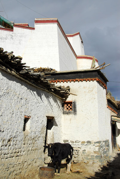 Shigatse Dzong rising above Old Town