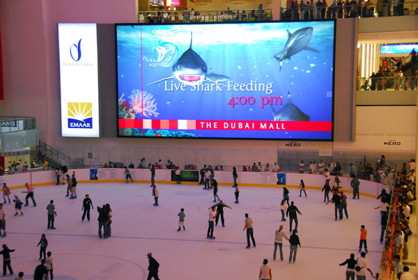 Dubai Mall ice skating rink