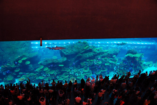The World's Largest Acrylic Panel - 32.88 x 8.3m Dubai Aquarium