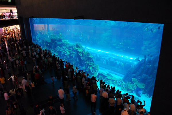 Dubai Aquarium drawing a large crowd shortly after opening in November 2008